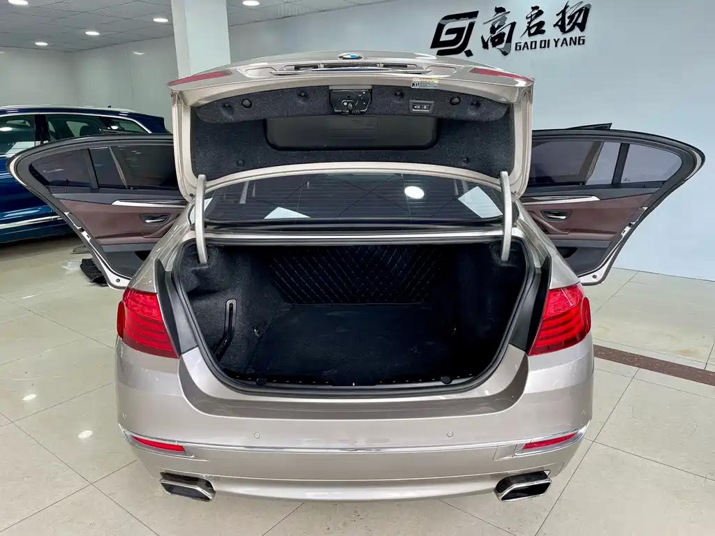 BMW BMW 5 Series 525Li Luxury Design Package (2014) 2015 - thumbnail 20