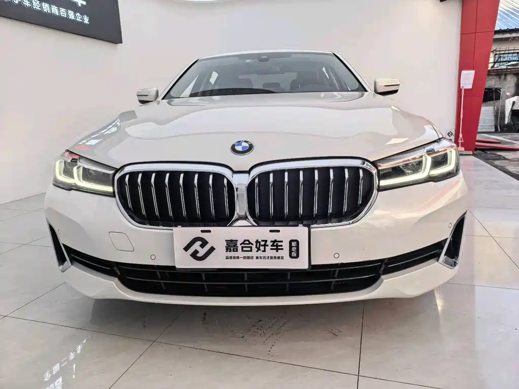 BMW BMW 5 Series 530Li Luxury Package 2021 - thumbnail 2
