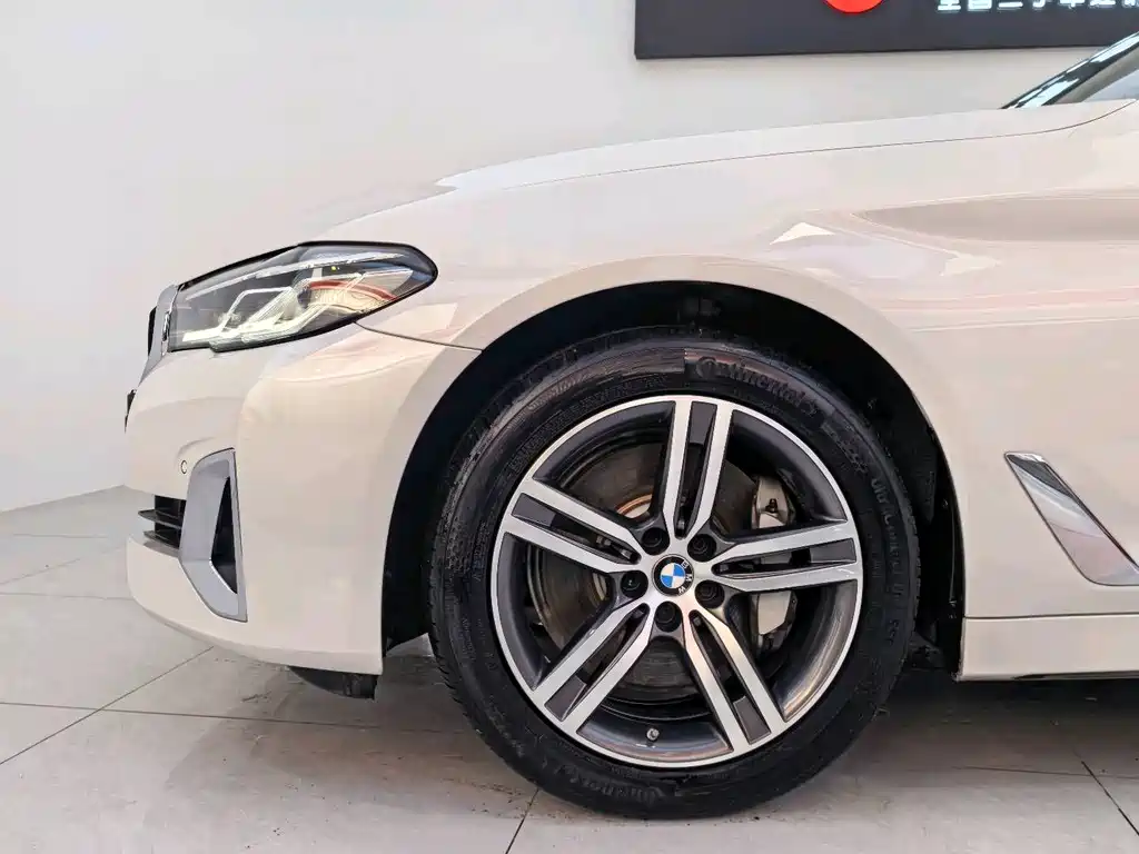 BMW BMW 5 Series 530Li Luxury Package 2021 - thumbnail 5