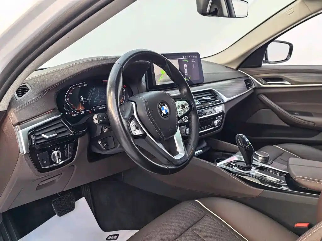BMW BMW 5 Series 530Li Luxury Package 2021 - thumbnail 7