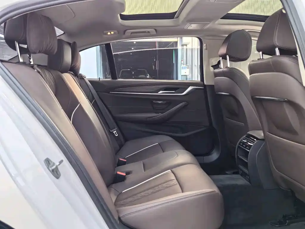 BMW BMW 5 Series 530Li Luxury Package 2021 - thumbnail 14
