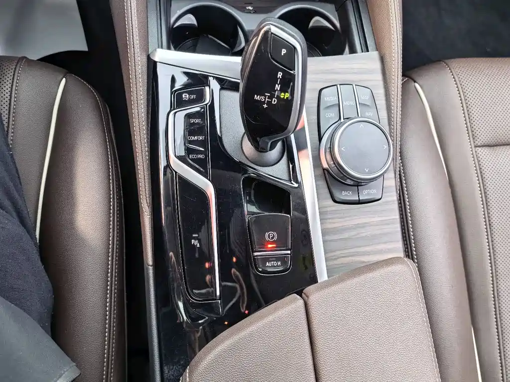 BMW BMW 5 Series 530Li Luxury Package 2021 - thumbnail 19