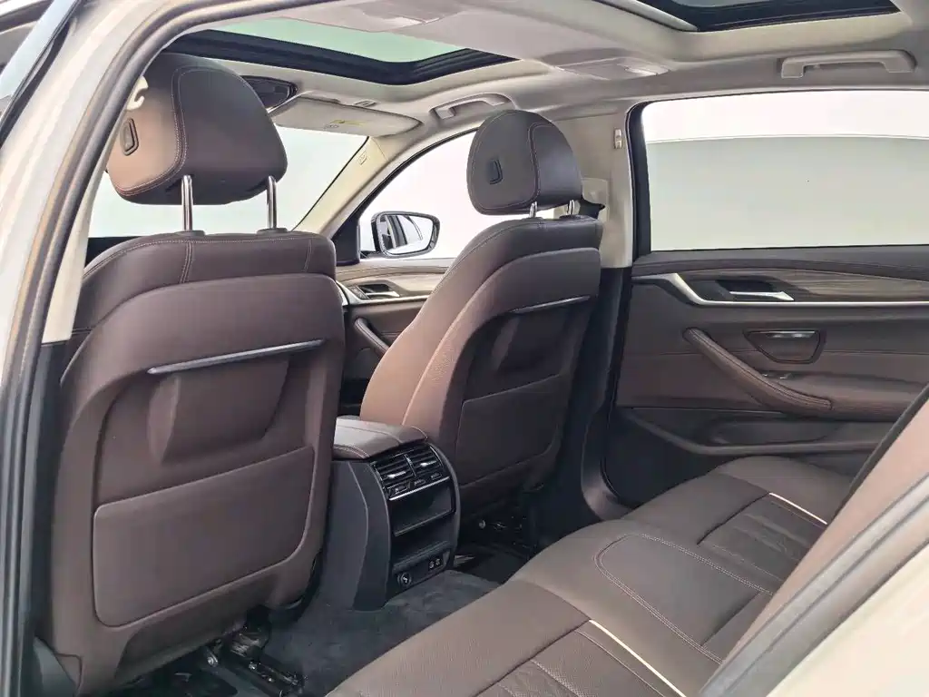 BMW BMW 5 Series 530Li Luxury Package 2021 - thumbnail 20