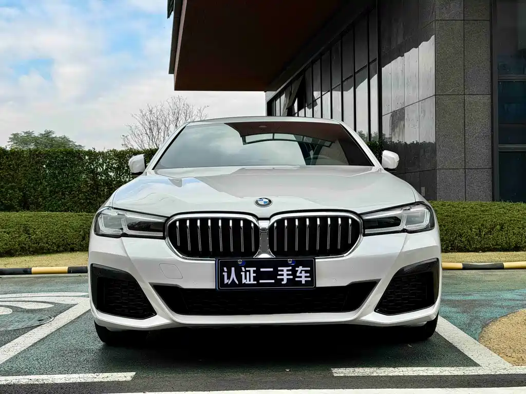 BMW BMW 5 Series 530Li M Sport Package 2021 - thumbnail 2