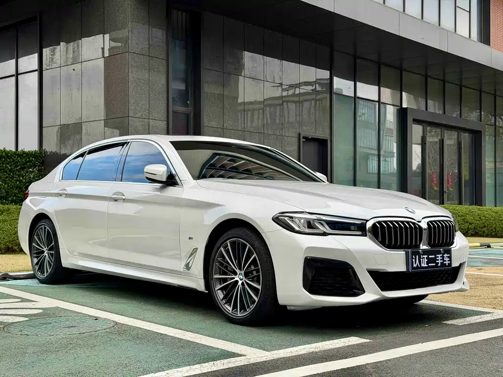 BMW BMW 5 Series 530Li M Sport Package 2021 - thumbnail 3