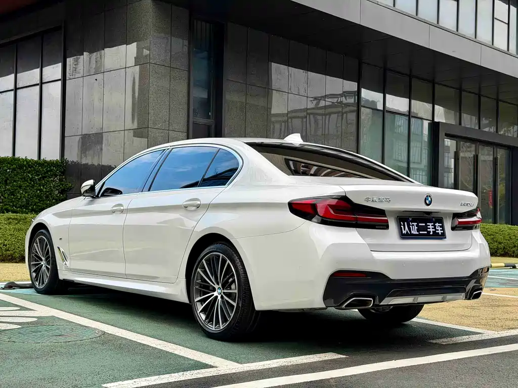 BMW BMW 5 Series 530Li M Sport Package 2021 - thumbnail 5