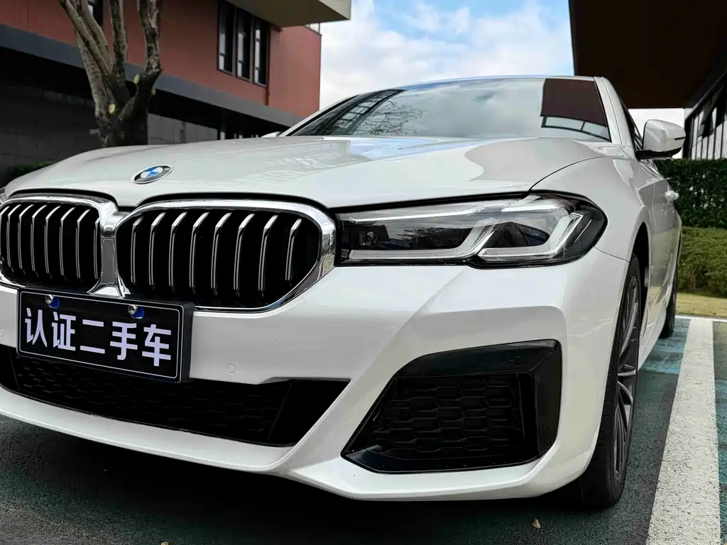 BMW BMW 5 Series 530Li M Sport Package 2021 - thumbnail 8
