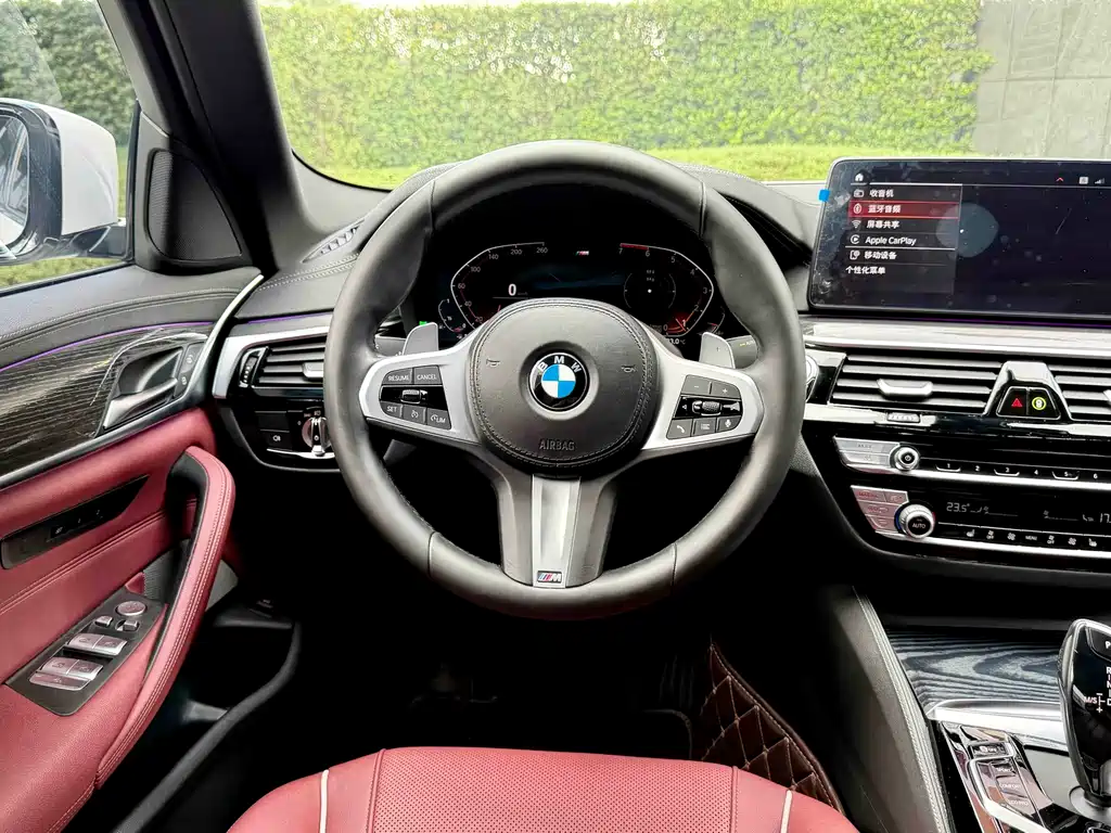 BMW BMW 5 Series 530Li M Sport Package 2021 - thumbnail 12
