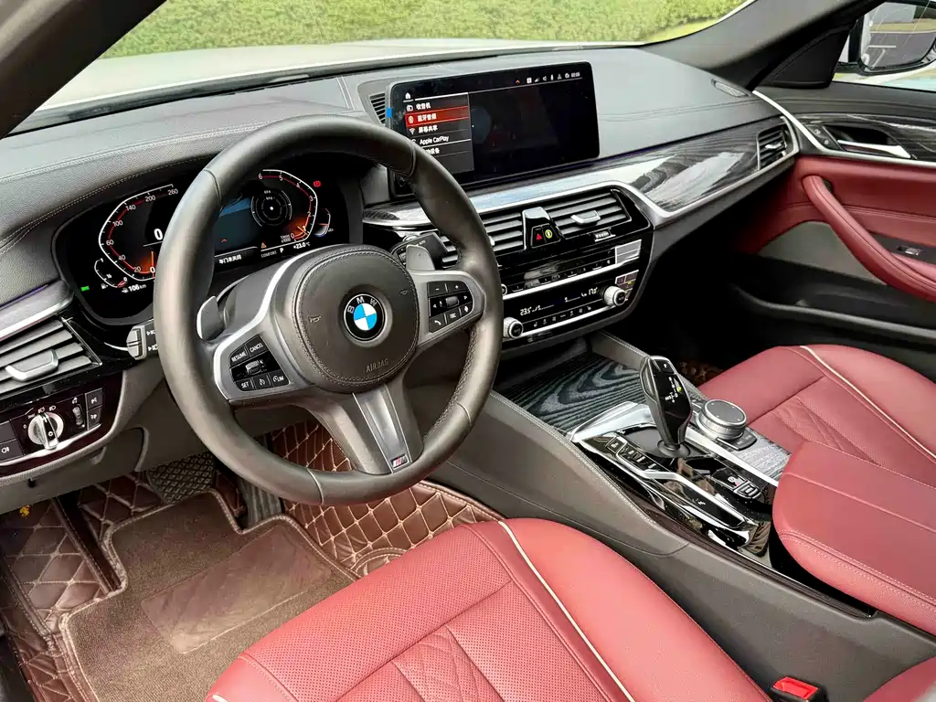 BMW BMW 5 Series 530Li M Sport Package 2021 - thumbnail 13