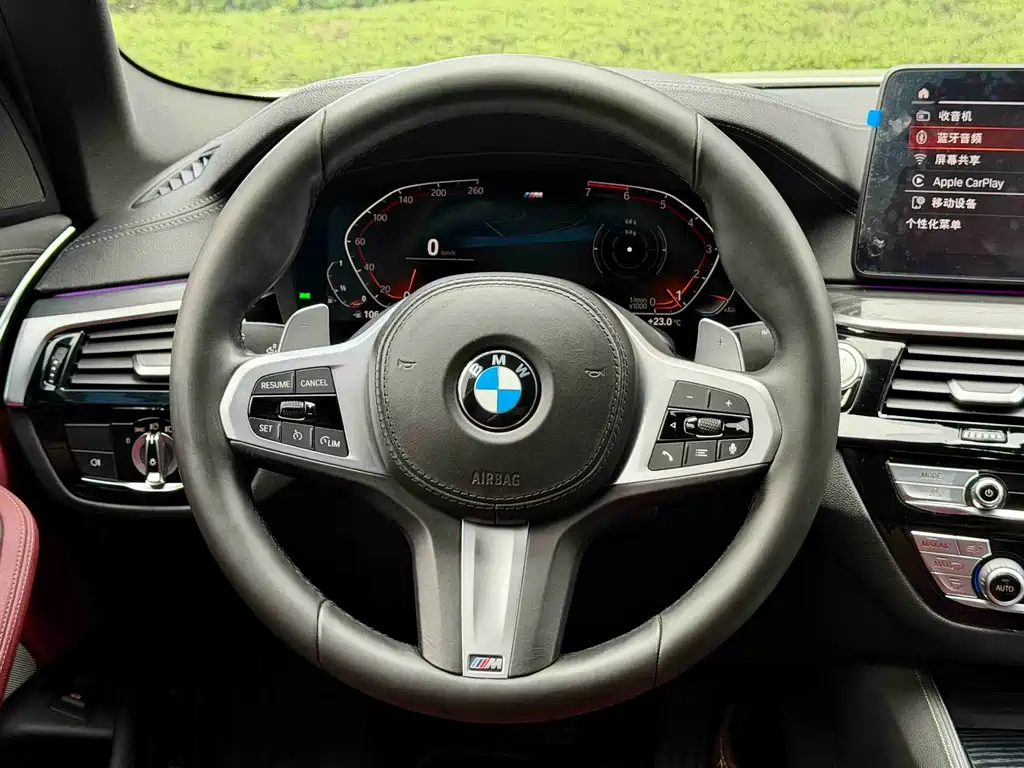 BMW BMW 5 Series 530Li M Sport Package 2021 - thumbnail 14
