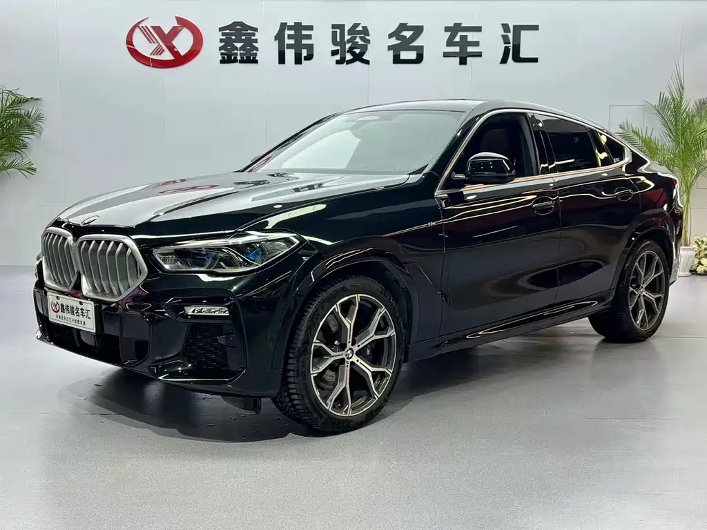 BMW BMW X6 xDrive40i M Sport Package 2021 2021 - thumbnail 2