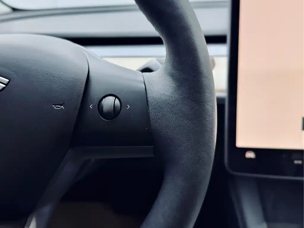 Tesla Model 3 Rear-Wheel Drive 2022 2023 - thumbnail 20