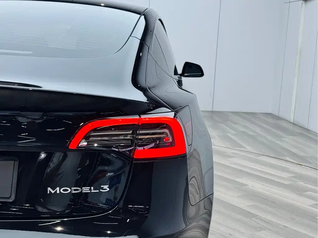 Tesla Model 3 Rear-Wheel Drive 2022 2023 - thumbnail 24
