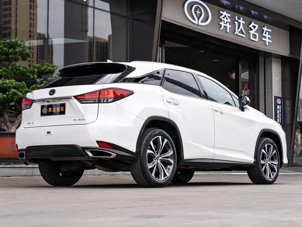 Lexus Lexus RX 300 AWD Special Edition 2021 2022 - thumbnail 3