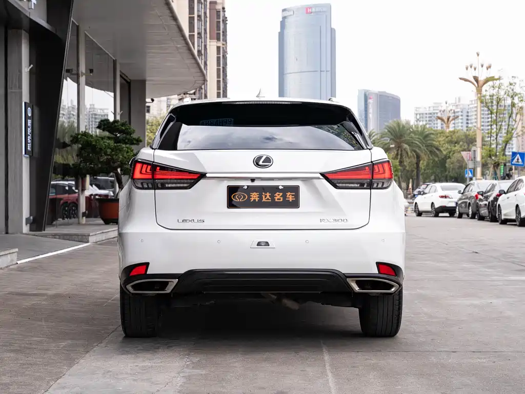 Lexus Lexus RX 300 AWD Special Edition 2021 2022 - thumbnail 5