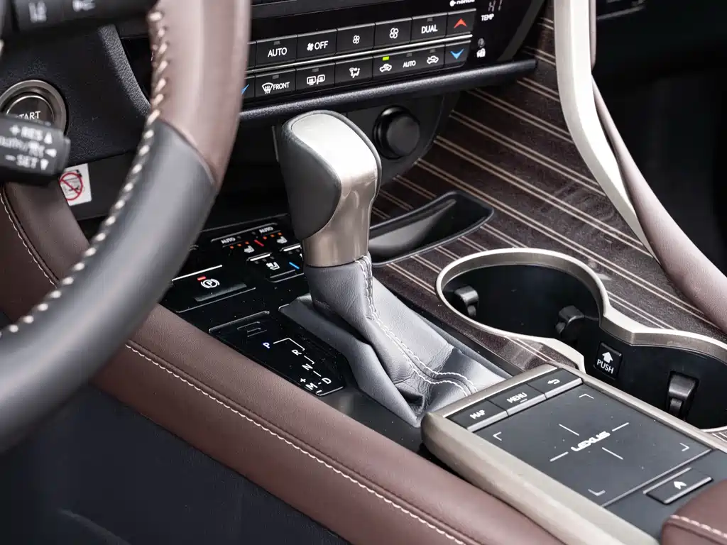 Lexus Lexus RX 300 AWD Special Edition 2021 2022 - thumbnail 15
