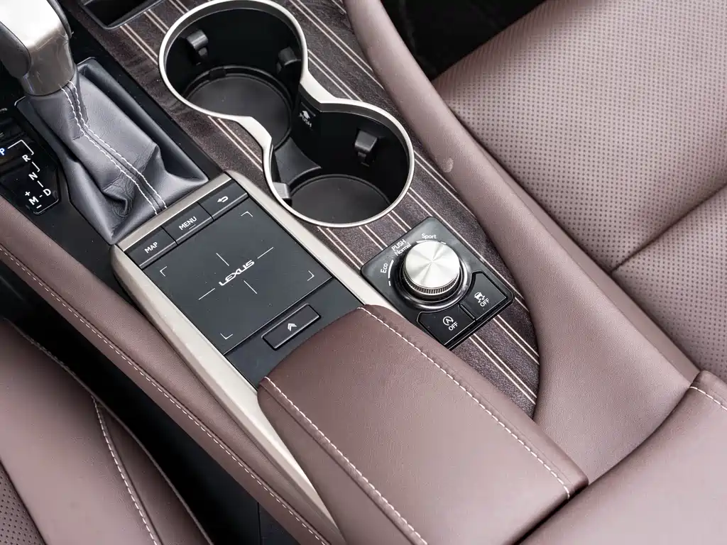Lexus Lexus RX 300 AWD Special Edition 2021 2022 - thumbnail 18