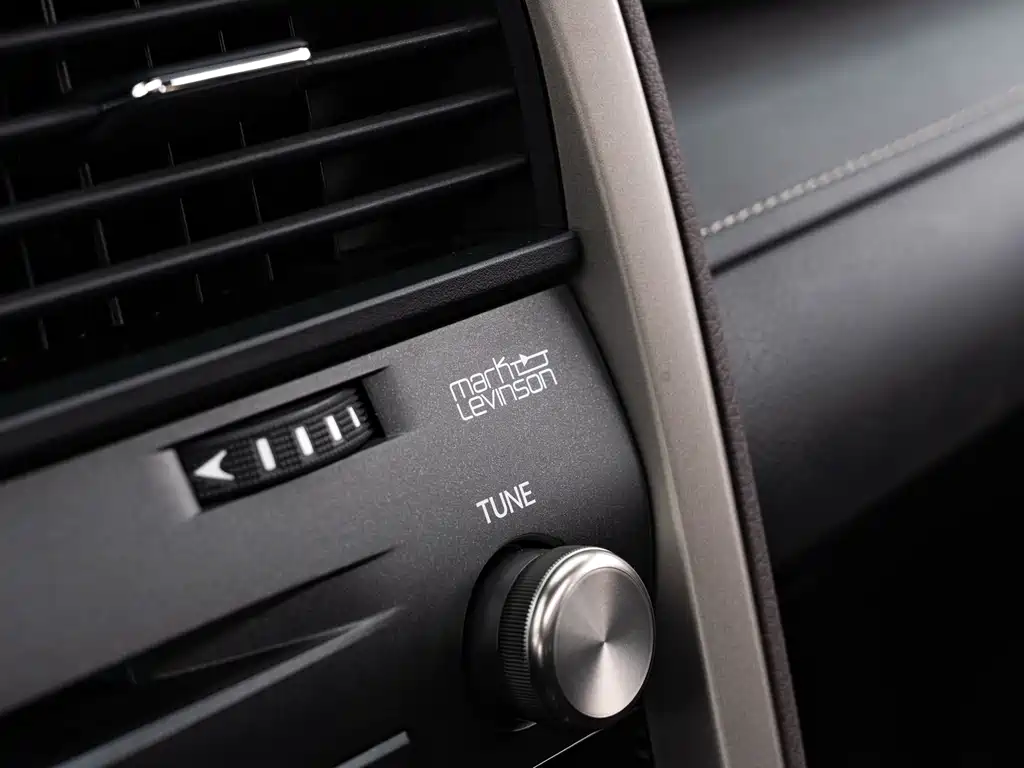 Lexus Lexus RX 300 AWD Special Edition 2021 2022 - thumbnail 20
