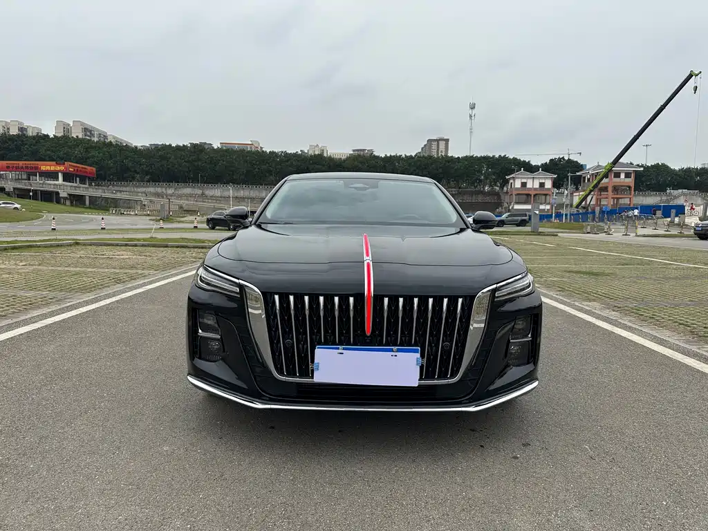 Hongqi Hongqi H5 2023 2.0T Automatic Smart Connectivity Flag Enjoyment Edition 2023 - thumbnail 9
