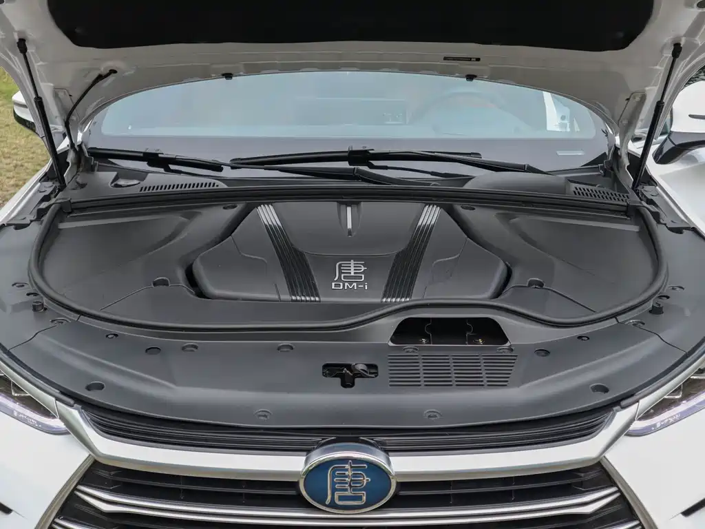 BYD BYD Tang NEV 2023 DM-i Champion Edition 112KM Premium Model 2023 - thumbnail 13