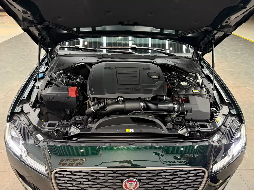 Jaguar Jaguar XFL 2024 2.0T P250 RWD Luxury Premium Edition 2025 - thumbnail 18