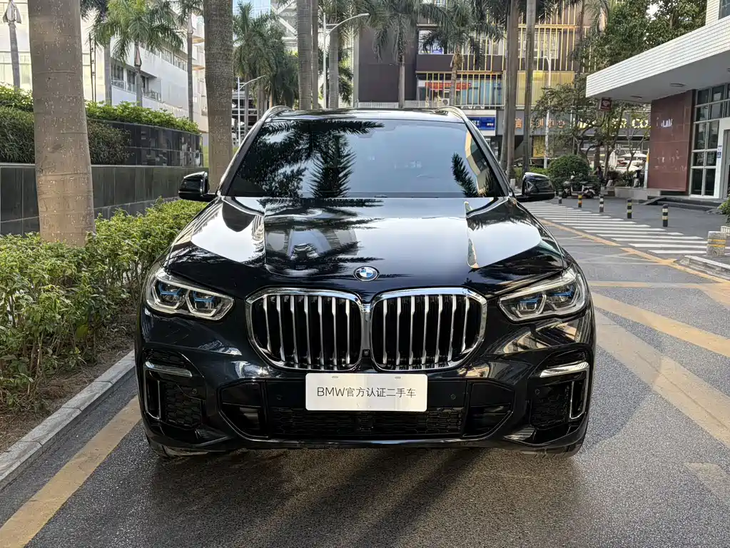 BMW BMW X5 xDrive 40Li M Sport Package 2022 2022 - thumbnail 2