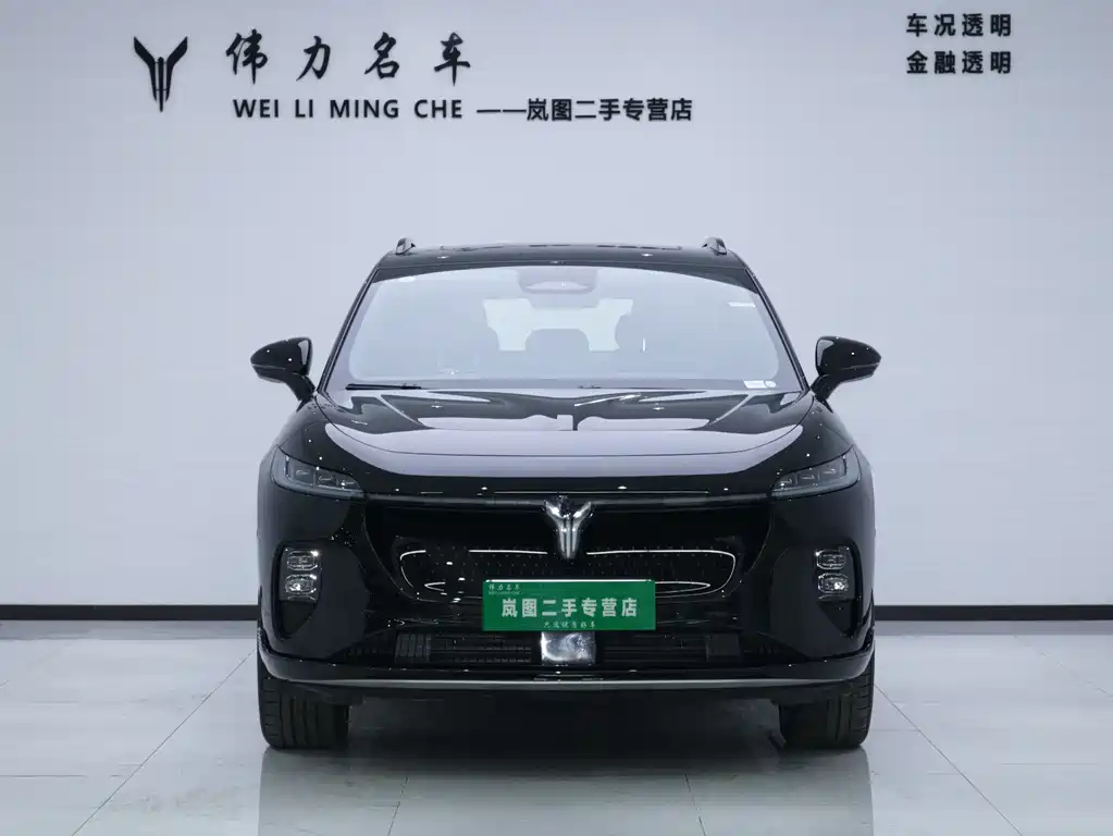 Lantu Automobile Lantu Zhiyin 2024 AWD Global Edition 2025 - thumbnail 2