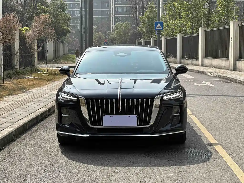Hongqi Hongqi H5 2023 2.0T Automatic Intelligent Flag Leader Edition 2024 - thumbnail 3