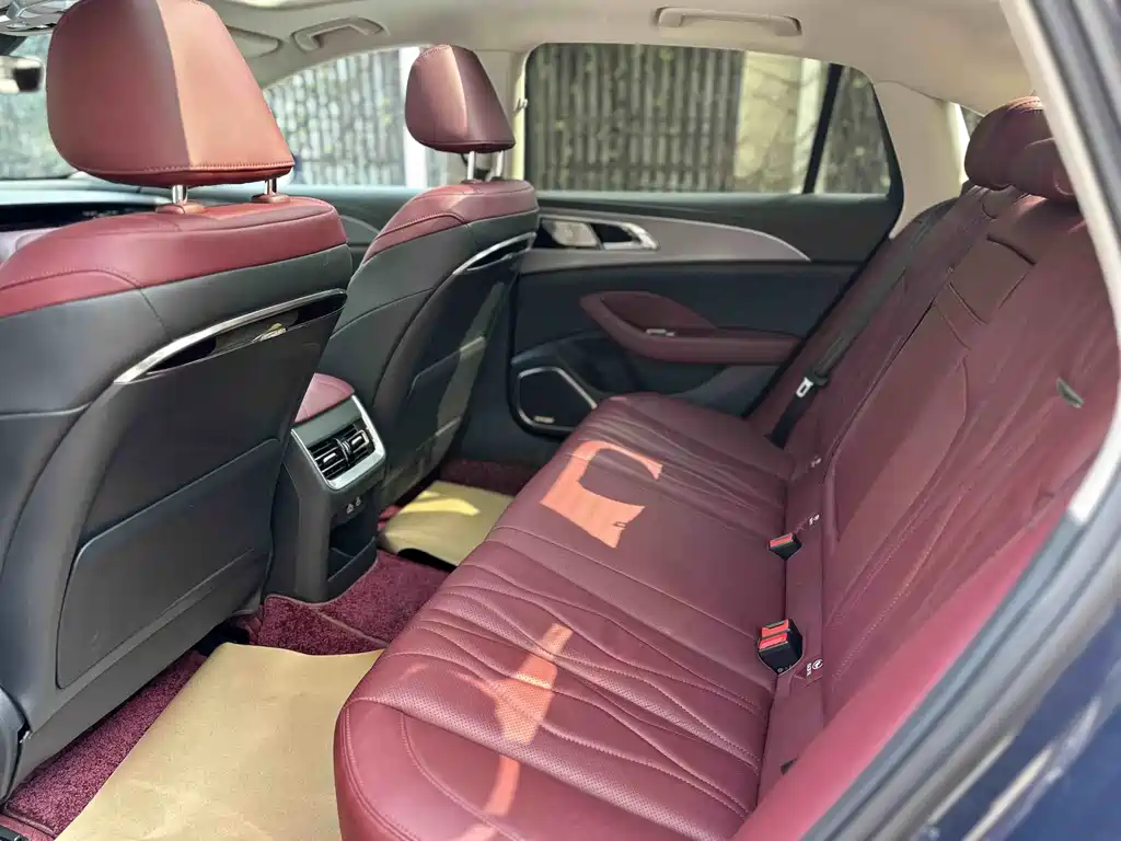 Hongqi Hongqi H5 2023 2.0T Automatic Intelligent Flag Leader Edition 2024 - thumbnail 6