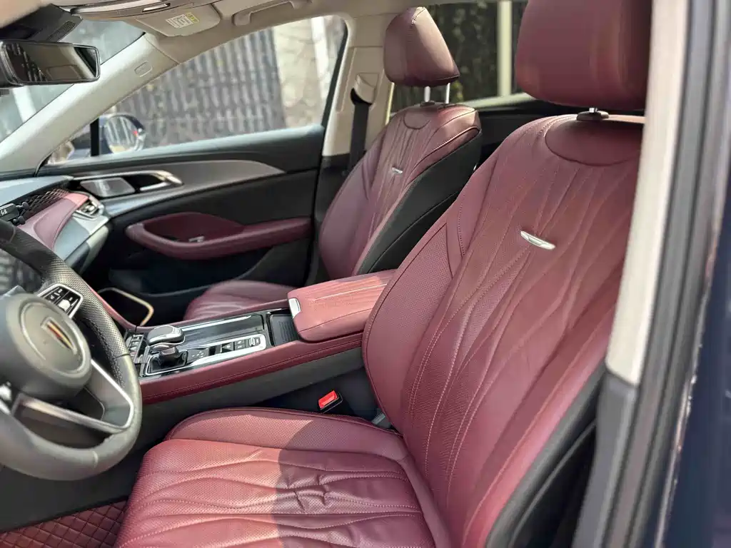 Hongqi Hongqi H5 2023 2.0T Automatic Intelligent Flag Leader Edition 2024 - thumbnail 20