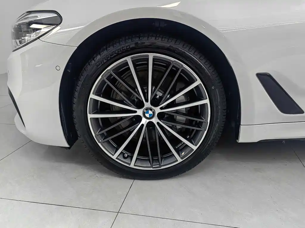 BMW BMW 5 Series 2020 530Li Premium M Sport Package 2020 - thumbnail 4