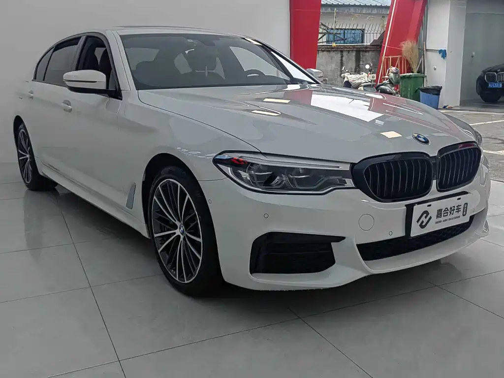BMW BMW 5 Series 2020 530Li Premium M Sport Package 2020 - thumbnail 5