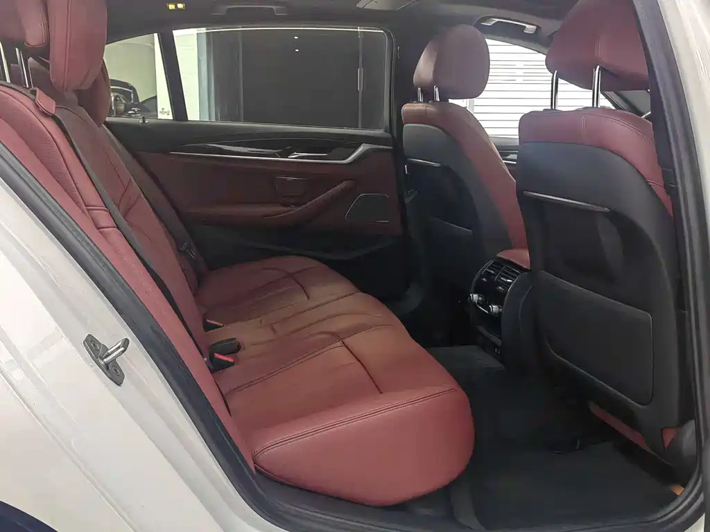 BMW BMW 5 Series 2020 530Li Premium M Sport Package 2020 - thumbnail 14
