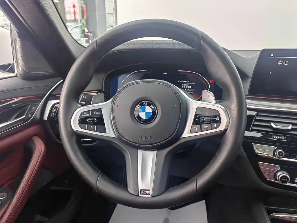 BMW BMW 5 Series 2020 530Li Premium M Sport Package 2020 - thumbnail 19