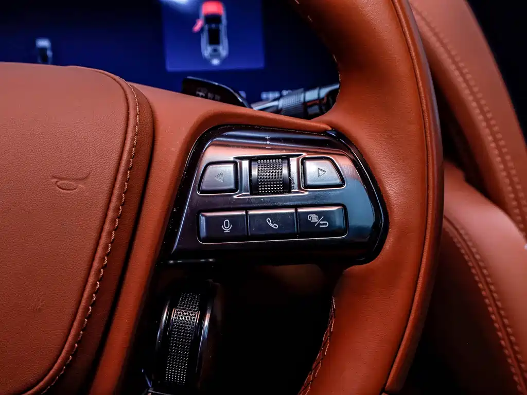 U BYD U8 2023 Luxury Edition 2024 - thumbnail 9