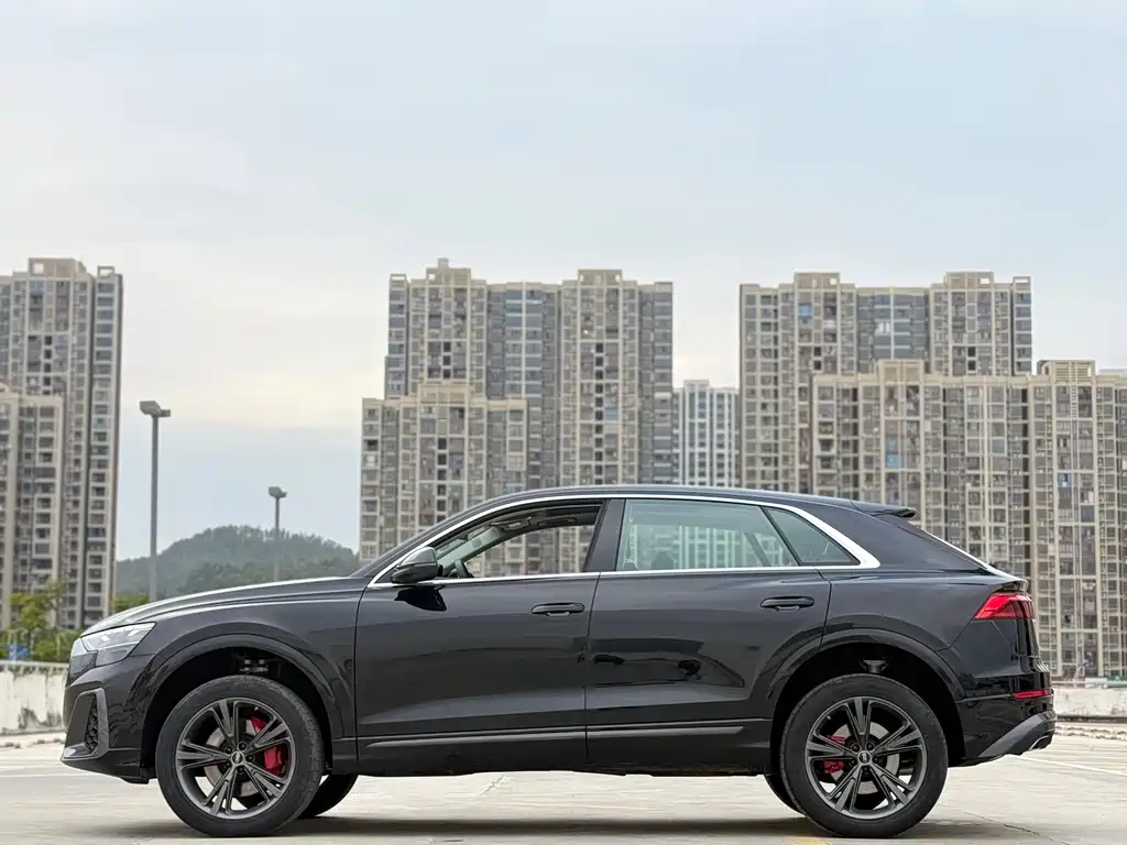 Audi Audi Q8 2024 55 TFSI Premium Dynamic 2025 - thumbnail 12