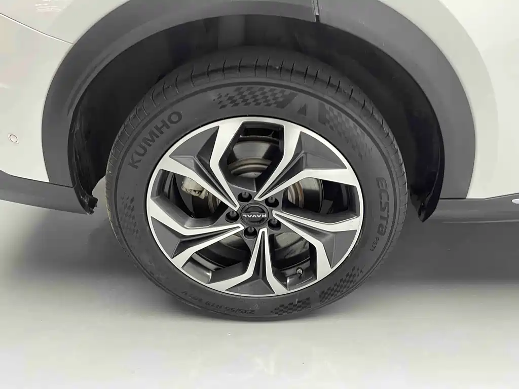 Haval Haval Ora MAX 2023 1.5L Hi4 105 AWD Intelligent Flagship Edition 2023 - thumbnail 24