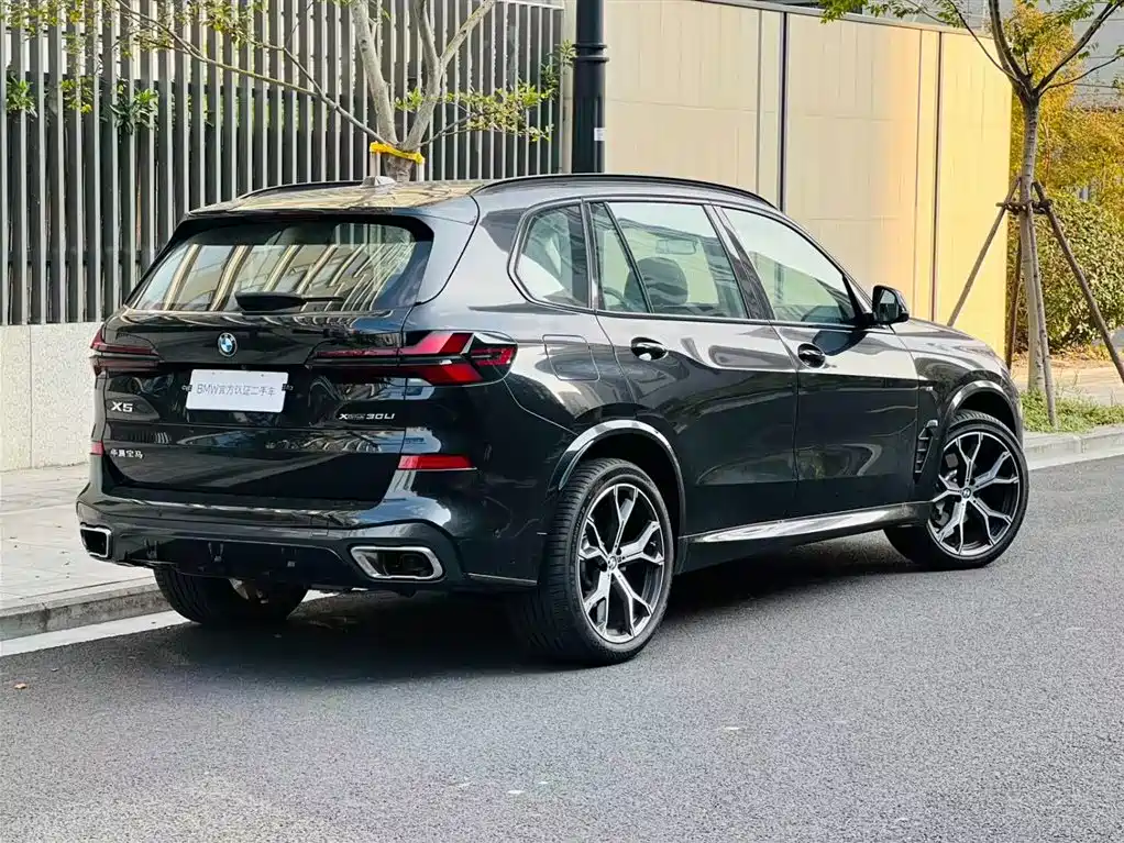 BMW BMW X5 xDrive30Li M Sport Shadow Night Package 2023 2025 - thumbnail 3