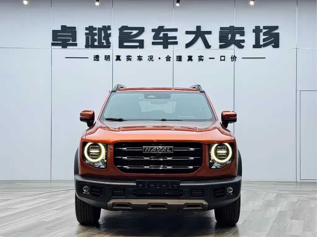 Haval Haval Big Dog 2021 1.5T DCT 2WD Border Collie Edition 2022 - thumbnail 2