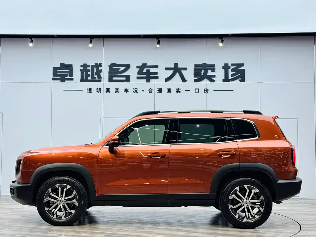 Haval Haval Big Dog 2021 1.5T DCT 2WD Border Collie Edition 2022 - thumbnail 4