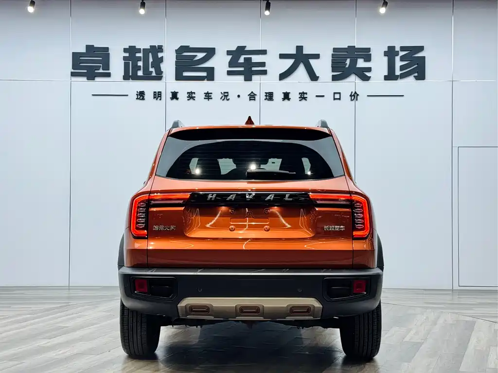 Haval Haval Big Dog 2021 1.5T DCT 2WD Border Collie Edition 2022 - thumbnail 6