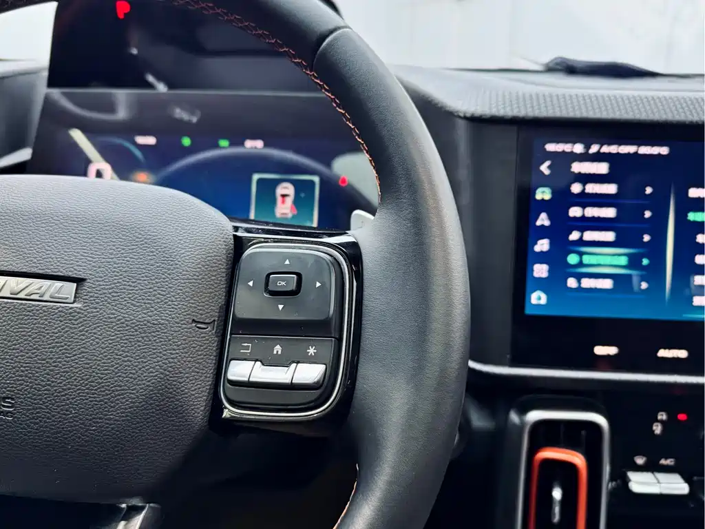 Haval Haval Big Dog 2021 1.5T DCT 2WD Border Collie Edition 2022 - thumbnail 13