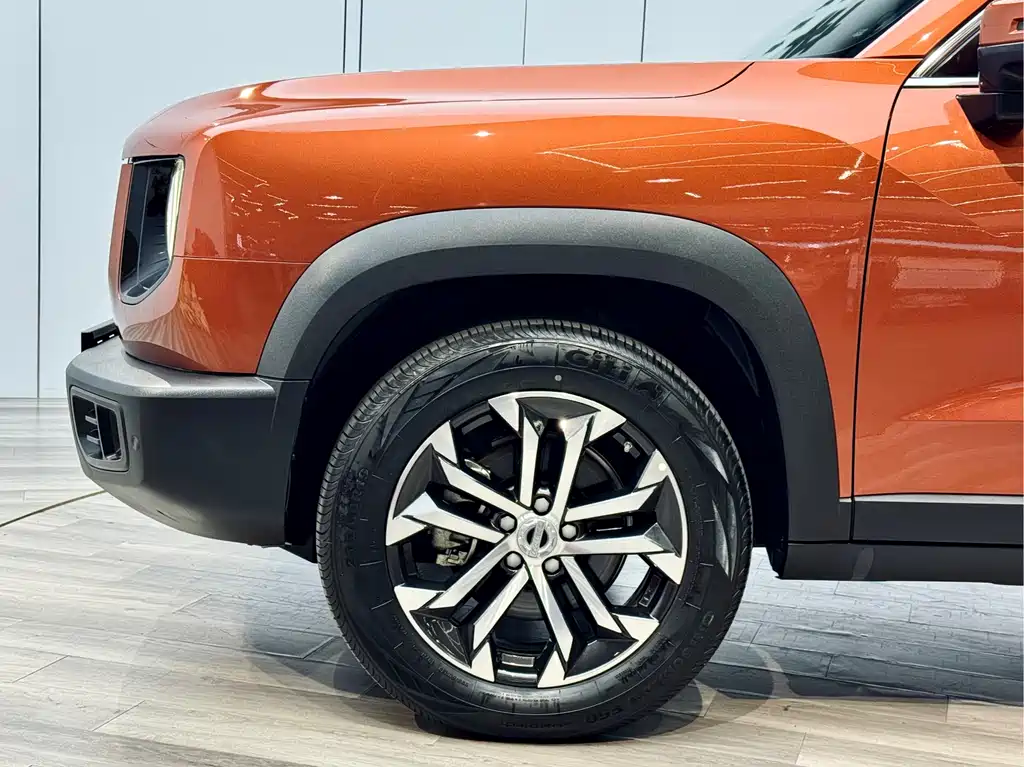 Haval Haval Big Dog 2021 1.5T DCT 2WD Border Collie Edition 2022 - thumbnail 20