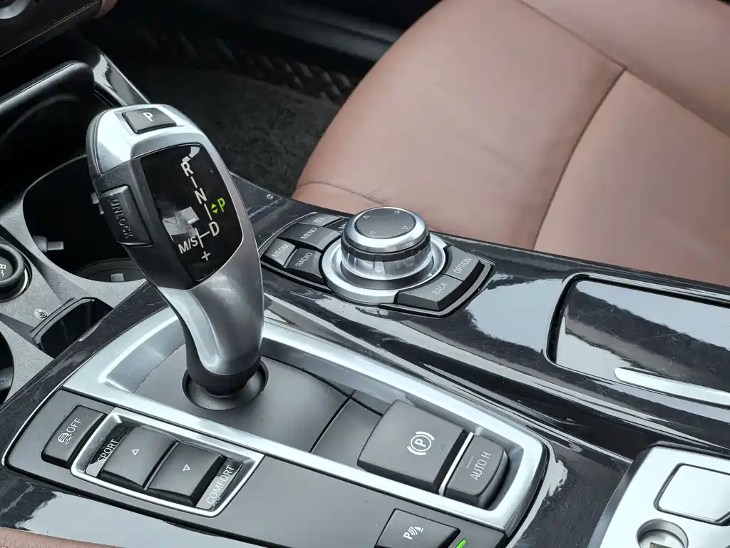 BMW BMW 5 Series 2017 520Li Elegant 2016 - thumbnail 9