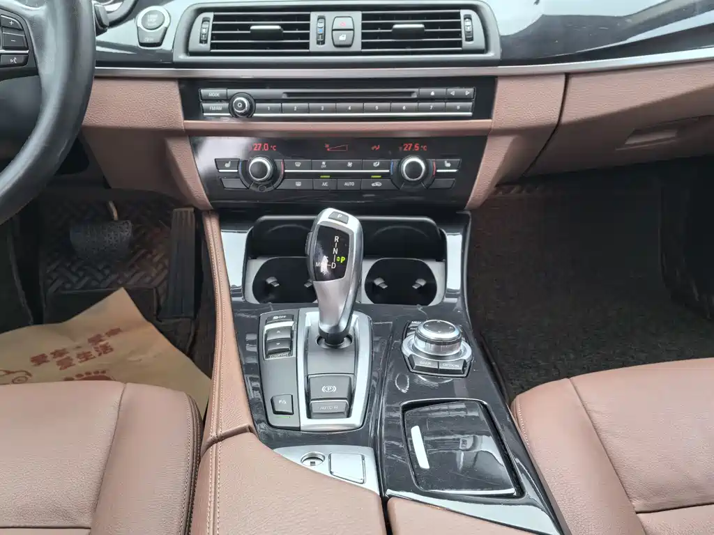 BMW BMW 5 Series 2017 520Li Elegant 2016 - thumbnail 13