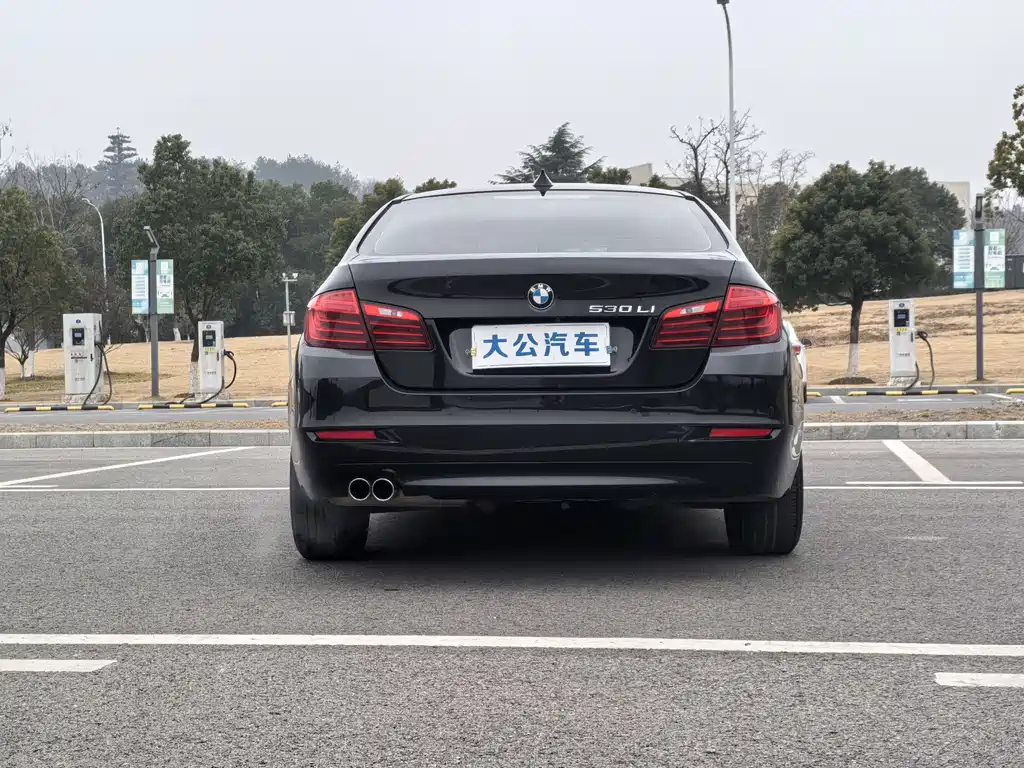 BMW BMW 5 Series 2017 520Li Elegant 2016 - thumbnail 14