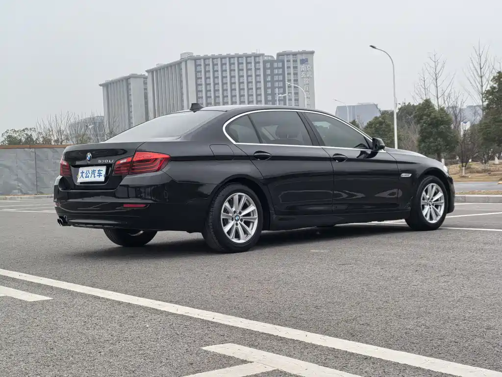 BMW BMW 5 Series 2017 520Li Elegant 2016 - thumbnail 15