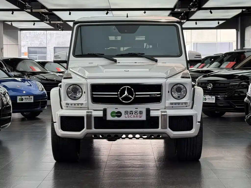 Mercedes-Benz Mercedes-Benz G-Class AMG 2016 AMG G 63 Edition 463 2016 - thumbnail 2