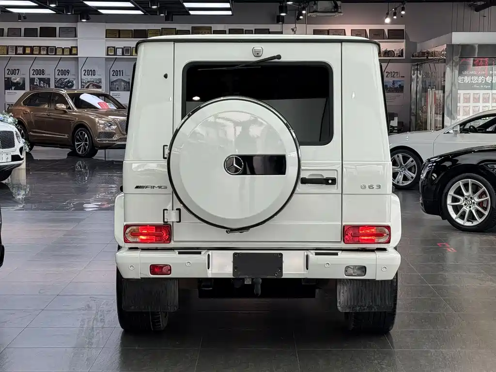 Mercedes-Benz Mercedes-Benz G-Class AMG 2016 AMG G 63 Edition 463 2016 - thumbnail 5