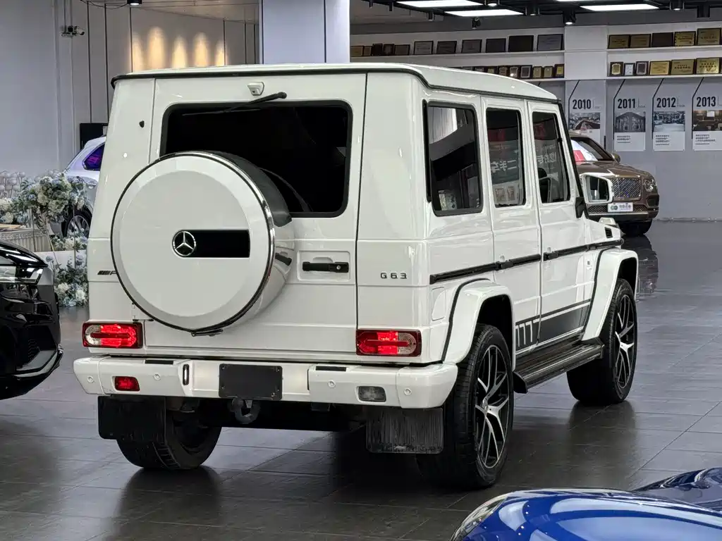 Mercedes-Benz Mercedes-Benz G-Class AMG 2016 AMG G 63 Edition 463 2016 - thumbnail 6